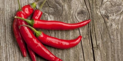 Najbolje sorte ljute crvene paprike: prednosti, uzgoj